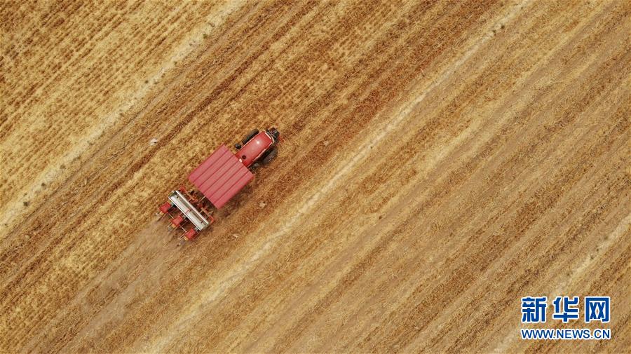 （新華全媒頭條&middot;圖文互動）（7）一個傳統(tǒng)農(nóng)業(yè)縣的脫貧之路&mdash;&mdash;來自河北新河的調(diào)查報(bào)告