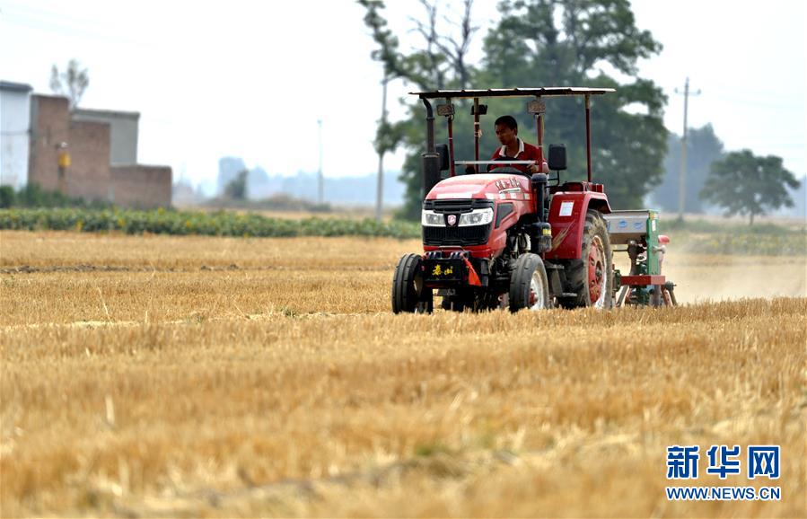 （新華全媒頭條&middot;圖文互動）（8）一個傳統(tǒng)農(nóng)業(yè)縣的脫貧之路&mdash;&mdash;來自河北新河的調(diào)查報(bào)告