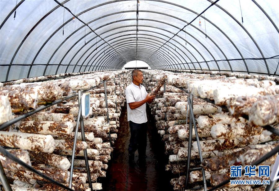 （新華全媒頭條&middot;圖文互動）（10）一個傳統(tǒng)農(nóng)業(yè)縣的脫貧之路&mdash;&mdash;來自河北新河的調(diào)查報(bào)告