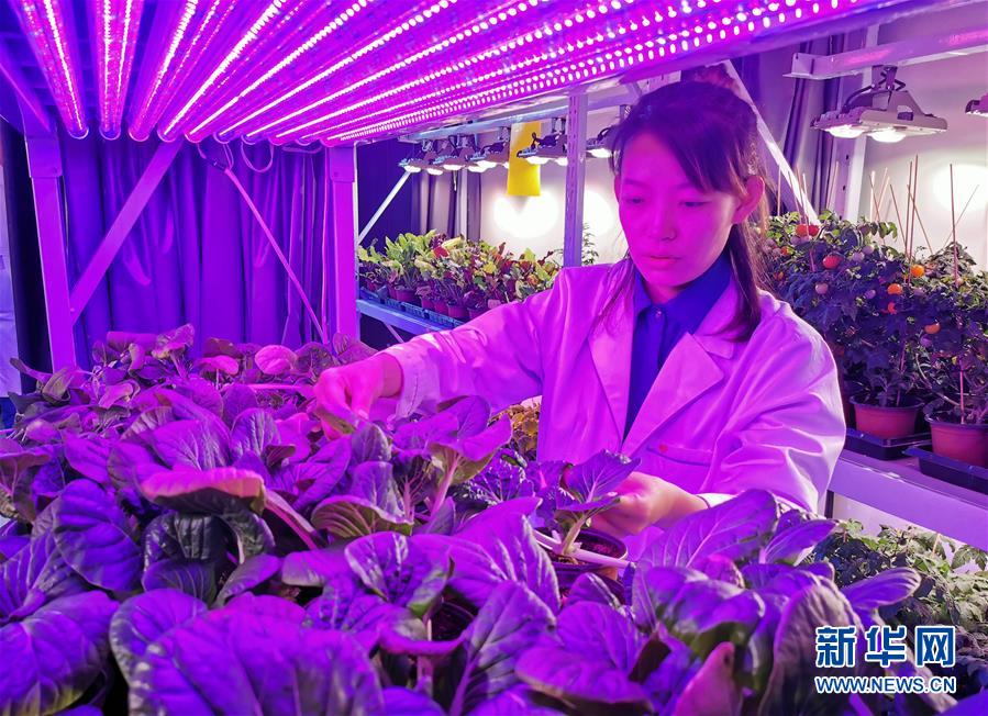 （愛(ài)國(guó)情 奮斗者&middot;圖文互動(dòng)）（5）池建義團(tuán)隊(duì)：把論文寫(xiě)在產(chǎn)品上