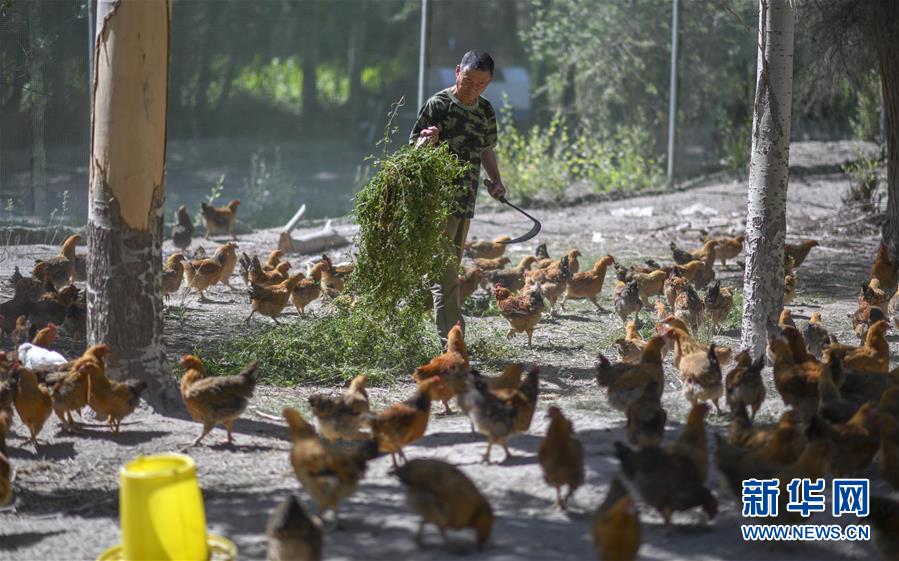 （新華全媒頭條&middot;圖文互動(dòng)）（6）同心援疆，&ldquo;壯闊&rdquo;祖國(guó)西北角