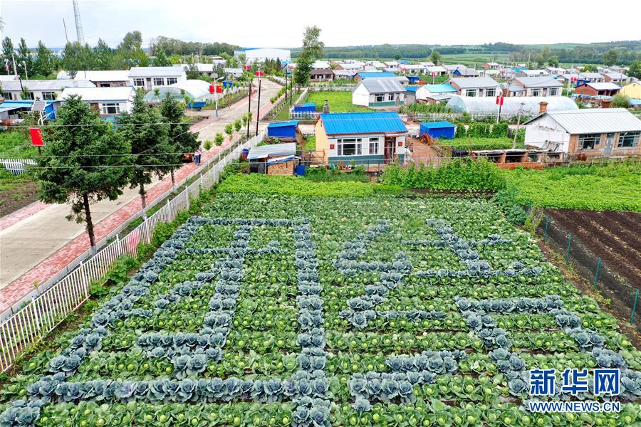 （圖文互動）（1）（在習(xí)近平新時(shí)代中國特色社會主義思想指引下&mdash;&mdash;新時(shí)代新作為新篇章）&ldquo;團(tuán)結(jié)&rdquo;振興團(tuán)結(jié)村&mdash;&mdash;黑龍江拜泉縣團(tuán)結(jié)村凝聚民心攻堅(jiān)脫貧