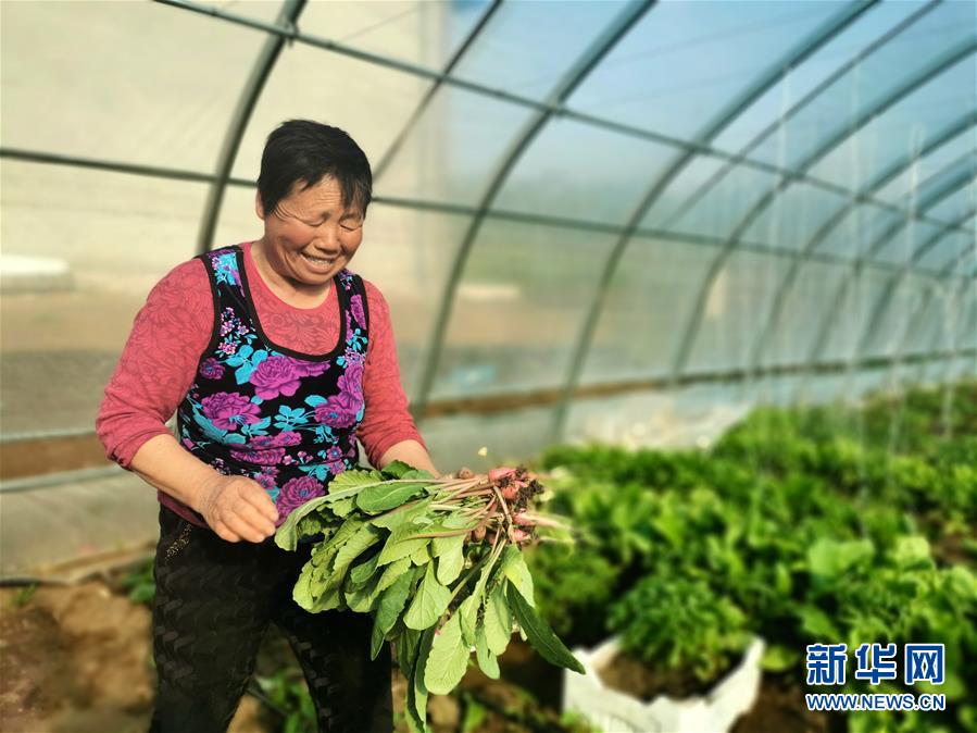 （圖文互動）（3）（在習(xí)近平新時(shí)代中國特色社會主義思想指引下&mdash;&mdash;新時(shí)代新作為新篇章）&ldquo;團(tuán)結(jié)&rdquo;振興團(tuán)結(jié)村&mdash;&mdash;黑龍江拜泉縣團(tuán)結(jié)村凝聚民心攻堅(jiān)脫貧