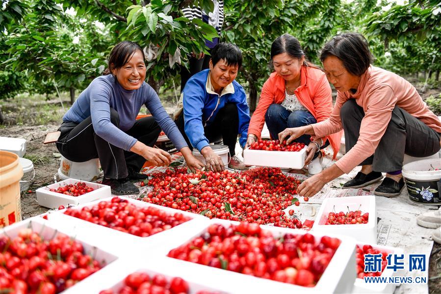 （在習(xí)近平新時(shí)代中國(guó)特色社會(huì)主義思想指引下&mdash;&mdash;新時(shí)代新作為新篇章&middot;圖文互動(dòng)）（2）中條山下綠意濃&mdash;&mdash;一個(gè)&ldquo;資源窮縣&rdquo;的生態(tài)發(fā)展之路
