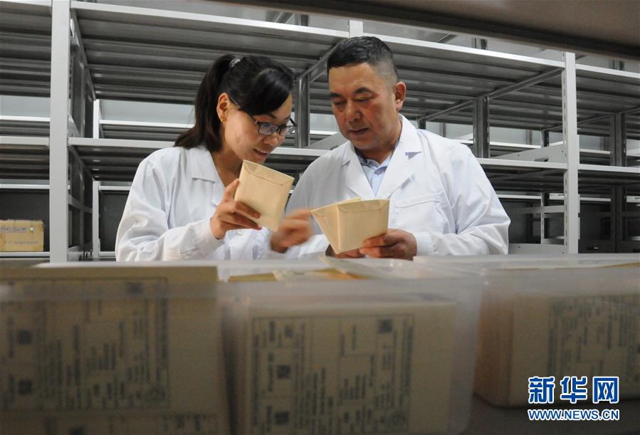 (愛(ài)國(guó)情 奮斗者·圖片互動(dòng))(2)張永平:像打造“中國(guó)芯”一樣打造“中國(guó)葵”