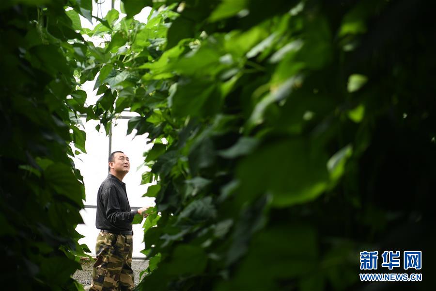 (壯麗70年·奮斗新時代——共和國發(fā)展成就巡禮·圖文互動)(7)以“綠色”身姿站上發(fā)展前沿——甘肅綠色轉(zhuǎn)型發(fā)展紀(jì)實