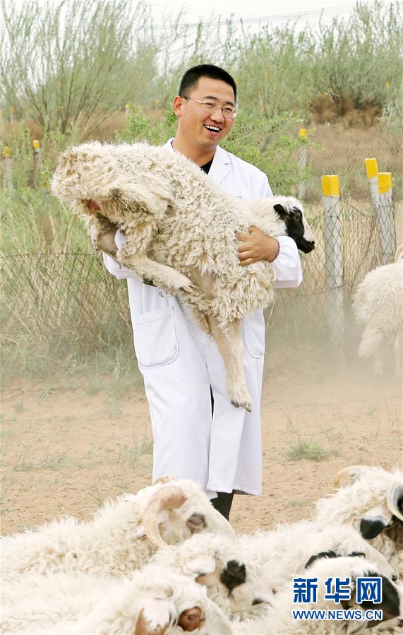 （壯麗70年&middot;奮斗新時(shí)代&mdash;&mdash;共和國(guó)發(fā)展成就巡禮&middot;圖文互動(dòng)）（3）生態(tài)美、百姓富&mdash;&mdash;品讀嶄新&ldquo;寧夏畫卷&rdquo;