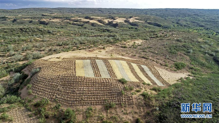 （壯麗70年&middot;奮斗新時(shí)代&mdash;&mdash;共和國(guó)發(fā)展成就巡禮&middot;圖文互動(dòng)）（6）生態(tài)美、百姓富&mdash;&mdash;品讀嶄新&ldquo;寧夏畫卷&rdquo;