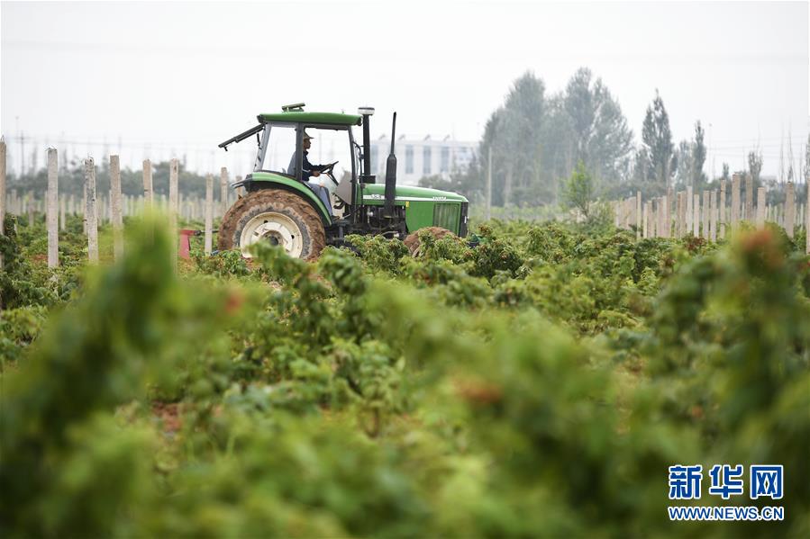 （壯麗70年&middot;奮斗新時(shí)代&mdash;&mdash;共和國(guó)發(fā)展成就巡禮&middot;圖文互動(dòng)）（10）生態(tài)美、百姓富&mdash;&mdash;品讀嶄新&ldquo;寧夏畫卷&rdquo;