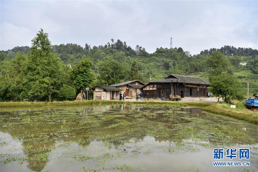 （來自一線的調(diào)查報告&middot;圖文互動）（2）利益聯(lián)結(jié)強產(chǎn)業(yè)　打通城鄉(xiāng)促振興&mdash;&mdash;重慶涪陵大順鄉(xiāng)鄉(xiāng)村振興觀察