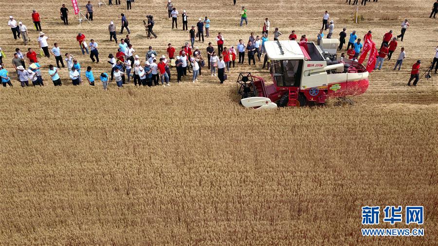 （壯麗70年&middot;奮斗新時(shí)代&mdash;&mdash;共和國(guó)發(fā)展成就巡禮）（3）看今朝齊風(fēng)魯韻　七十載芳華正勁&mdash;&mdash;新中國(guó)成立以來(lái)山東領(lǐng)先發(fā)展紀(jì)實(shí)