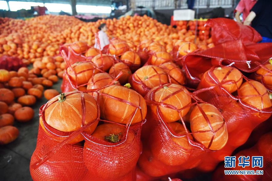 （壯麗70年&middot;奮斗新時(shí)代&mdash;&mdash;共和國(guó)發(fā)展成就巡禮）（6）看今朝齊風(fēng)魯韻　七十載芳華正勁&mdash;&mdash;新中國(guó)成立以來(lái)山東領(lǐng)先發(fā)展紀(jì)實(shí)