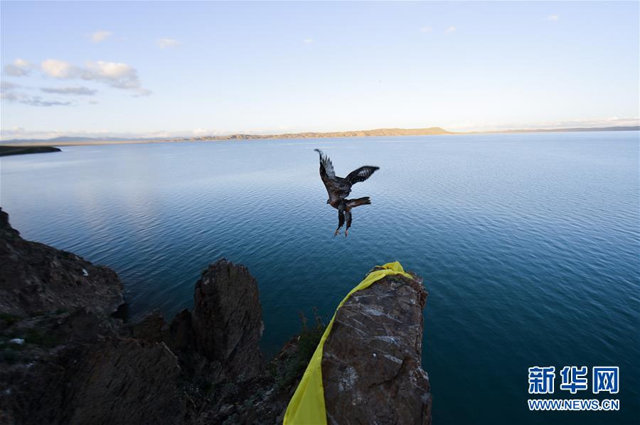 （今日關(guān)注&middot;第一屆國家公園論壇&middot;圖文互動(dòng)）（2）首個(gè)國家公園什么樣？專家?guī)阆?ldquo;睹&rdquo;為快