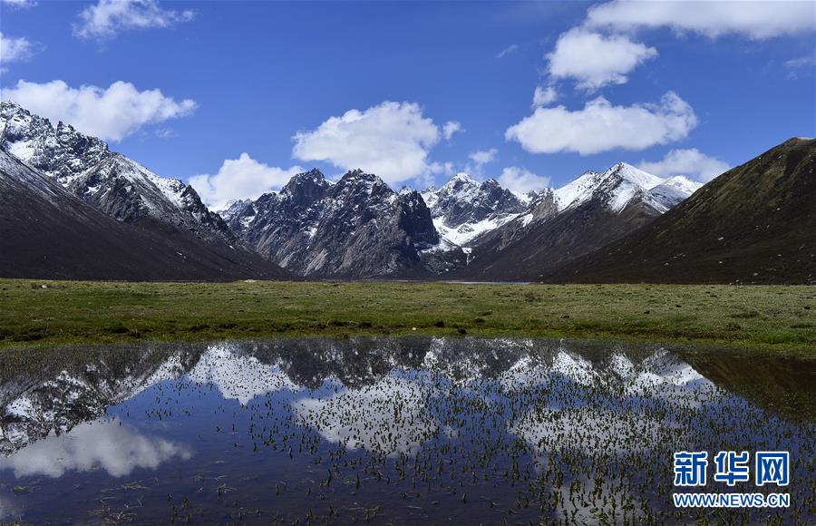（今日關(guān)注&middot;第一屆國家公園論壇&middot;圖文互動(dòng)）（6）首個(gè)國家公園什么樣？專家?guī)阆?ldquo;睹&rdquo;為快