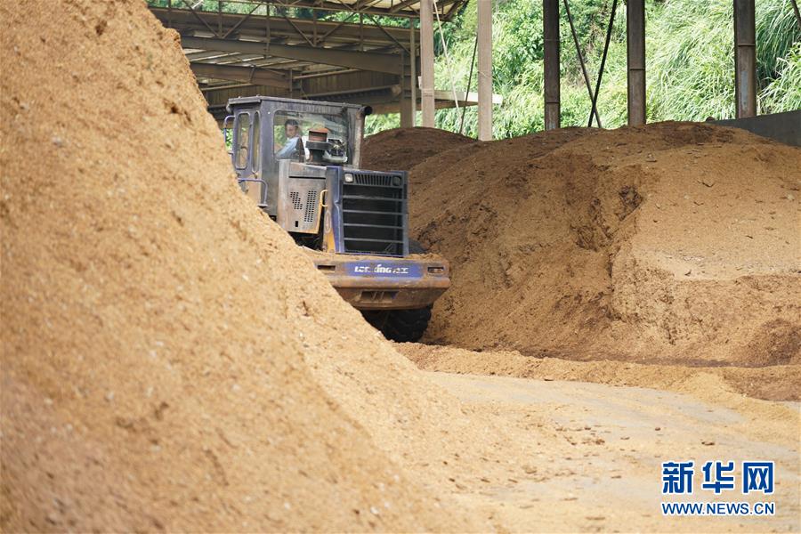 （在習(xí)近平新時(shí)代中國(guó)特色社會(huì)主義思想指引下&mdash;&mdash;新時(shí)代新作為新篇章&middot;總書記關(guān)心的百姓身邊事&middot;圖文互動(dòng)）（4）大污染變身&ldquo;大寶藏&rdquo;：治理畜禽糞污，他們這樣干！