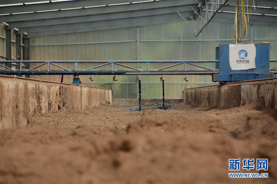 （在習(xí)近平新時(shí)代中國(guó)特色社會(huì)主義思想指引下&mdash;&mdash;新時(shí)代新作為新篇章&middot;總書記關(guān)心的百姓身邊事&middot;圖文互動(dòng)）（5）大污染變身&ldquo;大寶藏&rdquo;：治理畜禽糞污，他們這樣干！