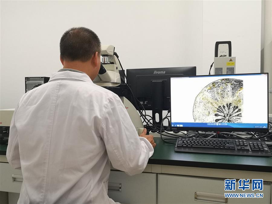 （新華調(diào)查&middot;新中國考古重大發(fā)現(xiàn)&middot;圖文互動）（5）海昏侯：不僅僅是&ldquo;黃金大墓&rdquo;