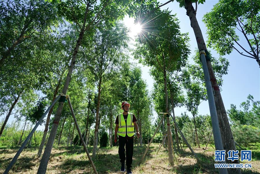 （壯麗70年&middot;奮斗新時(shí)代&middot;重溫囑托看變化&middot;圖文互動）（1）雄安新區(qū)：錨定高質(zhì)量發(fā)展　奮力書寫新時(shí)代答卷