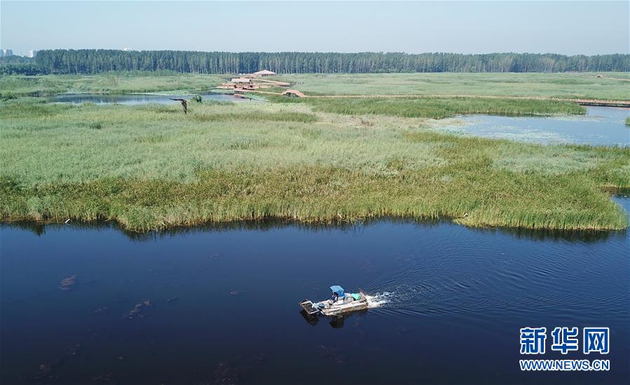 （壯麗70年&middot;奮斗新時(shí)代&middot;重溫囑托看變化&middot;圖文互動）（4）雄安新區(qū)：錨定高質(zhì)量發(fā)展　奮力書寫新時(shí)代答卷