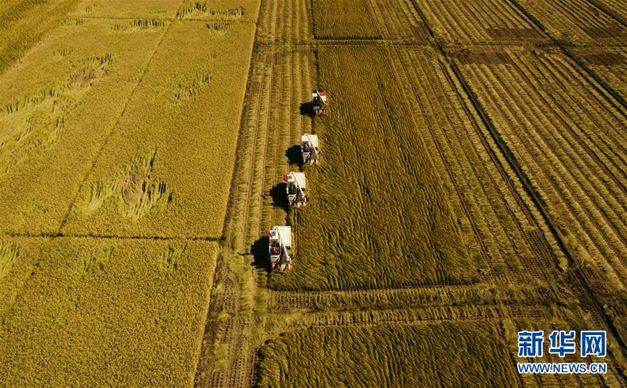 （新華全媒頭條&middot;圖文互動(dòng)）（5）紅色的傳承，藍(lán)圖的起點(diǎn)&mdash;&mdash;新中國(guó)孕育與發(fā)展的&ldquo;東北記憶&rdquo;