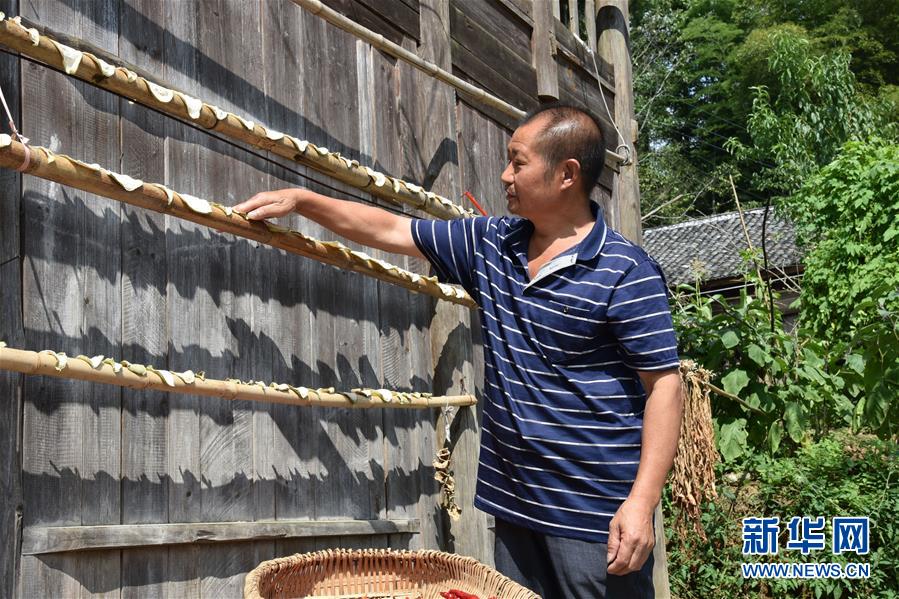 （愛國情 奮斗者&middot;圖文互動）（2）貴州印江高石坎護(hù)林隊：半輩子，以林場為家