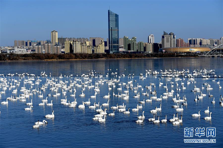 (新華全媒頭條·圖文互動(dòng))(14)中國(guó)道路越走越寬廣——社會(huì)主義中國(guó)實(shí)踐啟示錄