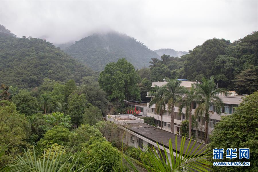 (圖文互動(dòng))(3)科學(xué)接續(xù)保護(hù) 守住生態(tài)紅線——探訪“北回歸沙漠帶上的綠色明珠”