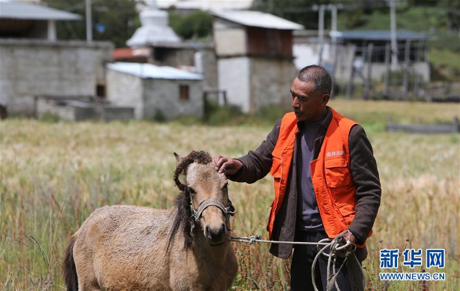（新華全媒頭條&middot;決戰(zhàn)決勝脫貧攻堅(jiān)&middot;圖文互動）（4）為了人與自然和諧共生&mdash;&mdash;云南&ldquo;三江并流&rdquo;地區(qū)決戰(zhàn)精準(zhǔn)脫貧的&ldquo;生態(tài)畫卷&rdquo;