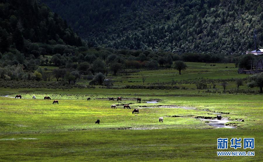 （新華全媒頭條&middot;決戰(zhàn)決勝脫貧攻堅(jiān)&middot;圖文互動）（7）為了人與自然和諧共生&mdash;&mdash;云南&ldquo;三江并流&rdquo;地區(qū)決戰(zhàn)精準(zhǔn)脫貧的&ldquo;生態(tài)畫卷&rdquo;