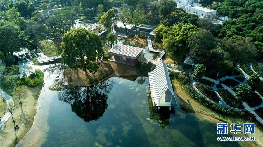 (新華全媒頭條·圖文互動)(5)敢為人先開新路——深圳全面開啟“先行示范區(qū)”建設(shè)進(jìn)程