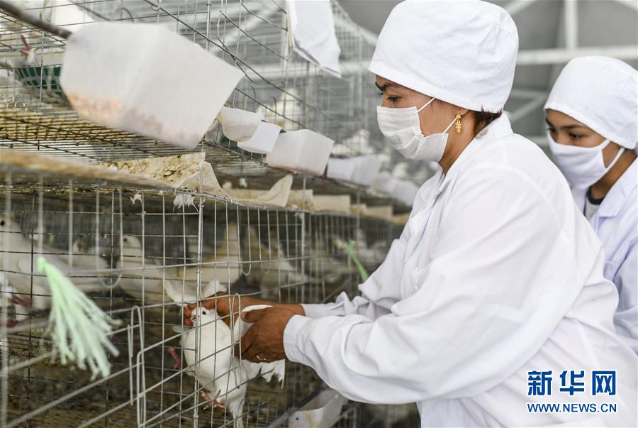 （決戰(zhàn)決勝扶貧攻堅(jiān)&middot;圖文互動）（5）凝心聚力奔小康&mdash;&mdash;新疆南疆四地州脫貧攻堅(jiān)成就綜述