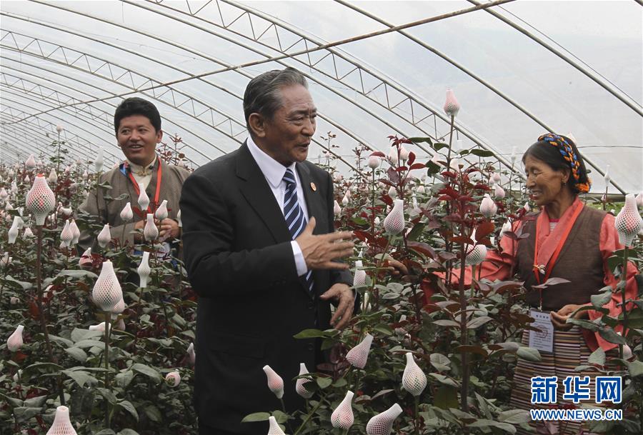 （壯麗70年&middot;奮斗新時代&mdash;&mdash;共和國榮光）（3）民族團結的楷模&mdash;&mdash;熱地