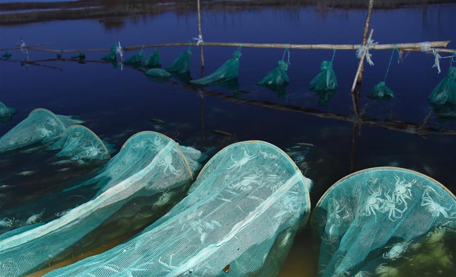 （在習(xí)近平新時(shí)代中國(guó)特色社會(huì)主義思想指引下&mdash;&mdash;新時(shí)代新作為新篇章&middot;總書(shū)記關(guān)心的百姓身邊事&middot;圖文互動(dòng)）（2）水潤(rùn)民心&mdash;&mdash;全國(guó)農(nóng)村飲水安全攻堅(jiān)成效觀察