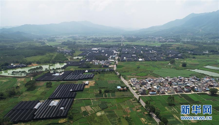 (在習(xí)近平新時(shí)代中國特色社會(huì)主義思想指引下——新時(shí)代新作為新篇章·總書記關(guān)心的百姓身邊事·圖文互動(dòng))(1)“科技秀才”給田野帶來新希望