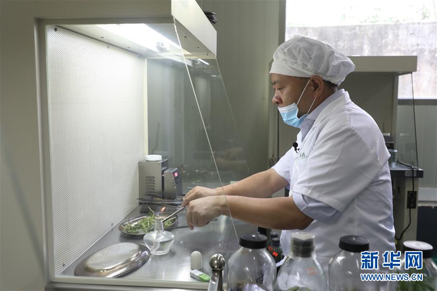 (在習(xí)近平新時(shí)代中國特色社會(huì)主義思想指引下——新時(shí)代新作為新篇章·總書記關(guān)心的百姓身邊事·圖文互動(dòng))(5)“科技秀才”給田野帶來新希望