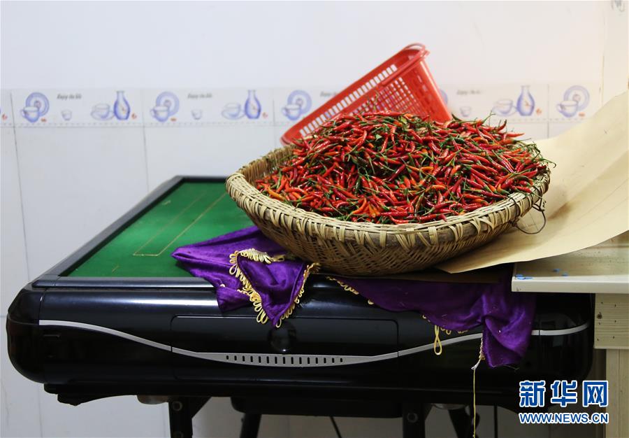 (四中全會精神在基層·圖文互動)(2)特寫:麻將桌“失業(yè)”記