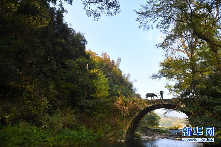 （圖文互動(dòng)）（3）鄉(xiāng)村攝影師、鄉(xiāng)村&ldquo;模特&rdquo;、民宿店主&mdash;&mdash;鄉(xiāng)村旅游推動(dòng)婺源農(nóng)民生活方式發(fā)生新變化