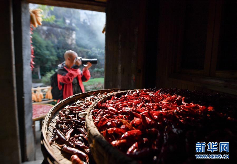 （圖文互動(dòng)）（6）鄉(xiāng)村攝影師、鄉(xiāng)村&ldquo;模特&rdquo;、民宿店主&mdash;&mdash;鄉(xiāng)村旅游推動(dòng)婺源農(nóng)民生活方式發(fā)生新變化