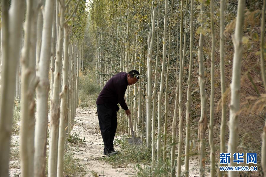 （新華全媒頭條&middot;圖文互動）（7）大漠小城的絕地反擊