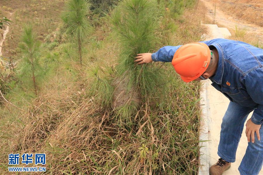 （生態(tài)文明建設(shè)&middot;圖文互動(dòng)）（3）粵北生態(tài)發(fā)展區(qū)筑牢粵港澳大灣區(qū)綠色屏障