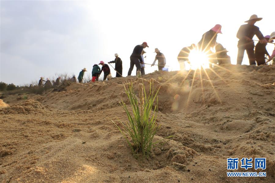 (在習(xí)近平新時(shí)代中國特色社會(huì)主義思想指引下——新時(shí)代新作為新篇章·總書記關(guān)切高質(zhì)量發(fā)展·圖文互動(dòng))(4)在藍(lán)天白云下——污染防治攻堅(jiān)戰(zhàn)持續(xù)推進(jìn)