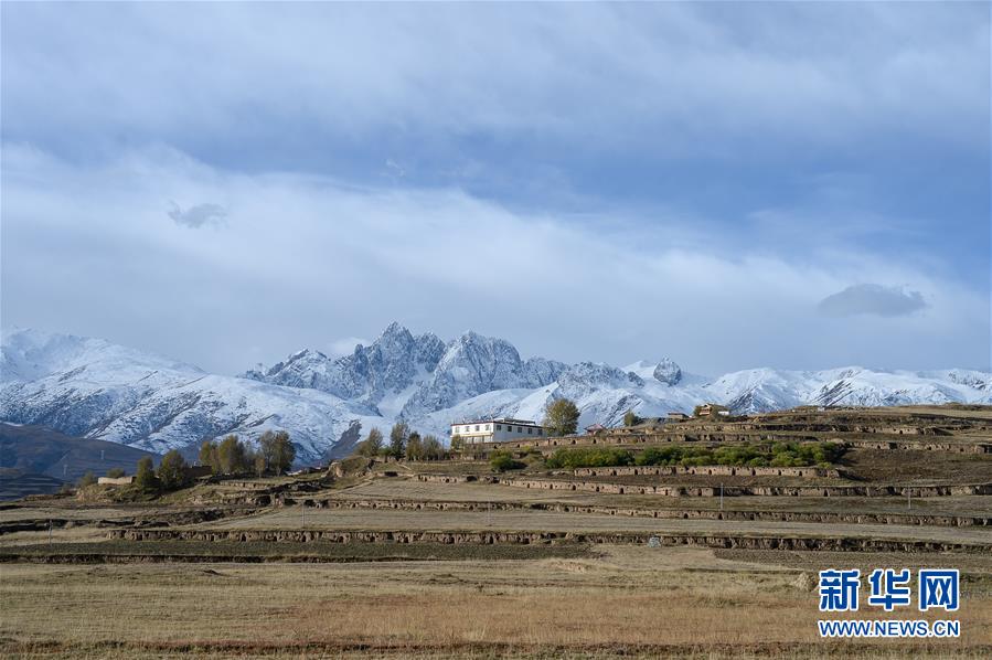 （新華全媒頭條&middot;圖文互動）（14）格桑花開滿天路&mdash;&mdash;寫在川藏公路通車65周年之際