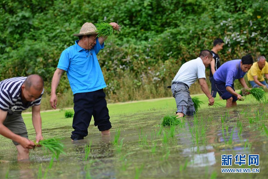 （新華全媒頭條&middot;圖文互動）（8）干部去哪兒了？&mdash;&mdash;貴州干部大規(guī)模下沉脫貧攻堅一線紀實