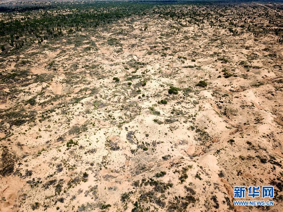 （圖文互動）（2）陜西榆林毀林建光伏電站追蹤：還有哪些疑團有待破解？ 