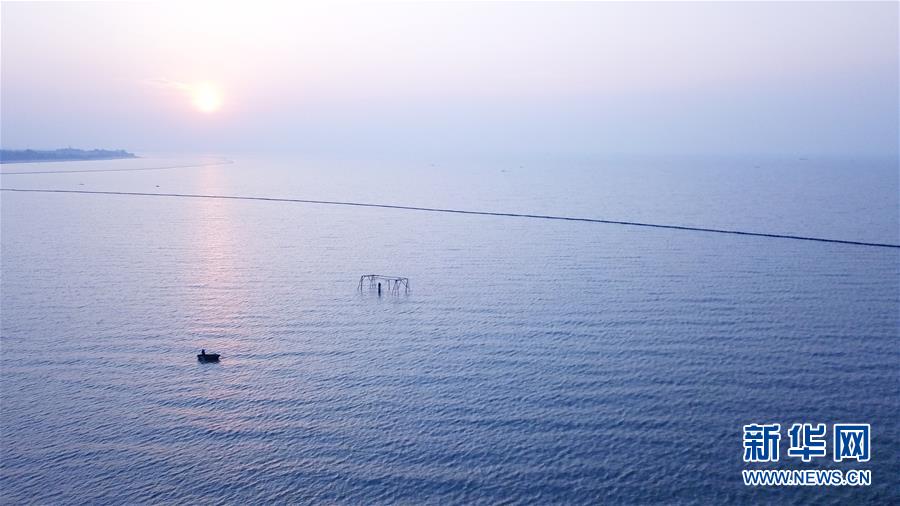 （新華全媒頭條&middot;圖文互動）（2）大湖見證&mdash;&mdash;長三角三大淡水湖綠色發(fā)展之路