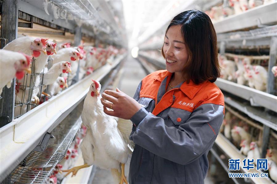 （新華全媒頭條&middot;兩會特別報(bào)道&middot;圖文互動）（6）在推進(jìn)高質(zhì)量發(fā)展中創(chuàng)造廣闊空間&mdash;&mdash;從全國兩會看奮進(jìn)中國的發(fā)展機(jī)遇