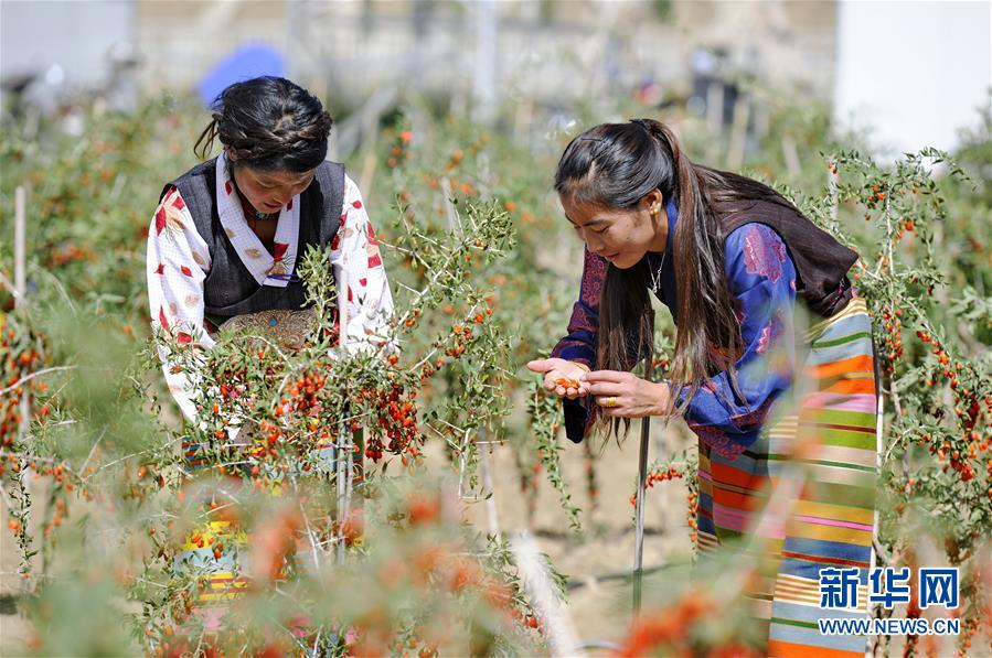 （新華全媒頭條&middot;兩會特別報(bào)道&middot;圖文互動）（7）在推進(jìn)高質(zhì)量發(fā)展中創(chuàng)造廣闊空間&mdash;&mdash;從全國兩會看奮進(jìn)中國的發(fā)展機(jī)遇