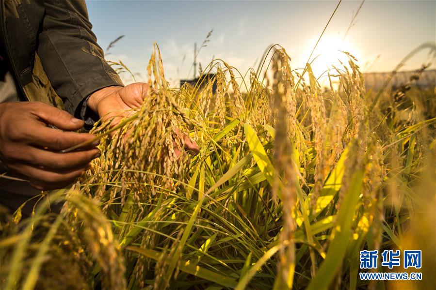 （新華全媒頭條&middot;圖文互動(dòng)）（5）上下同心再出發(fā)&mdash;&mdash;習(xí)近平總書記同出席2019年全國(guó)兩會(huì)人大代表、政協(xié)委員共商國(guó)是紀(jì)實(shí)