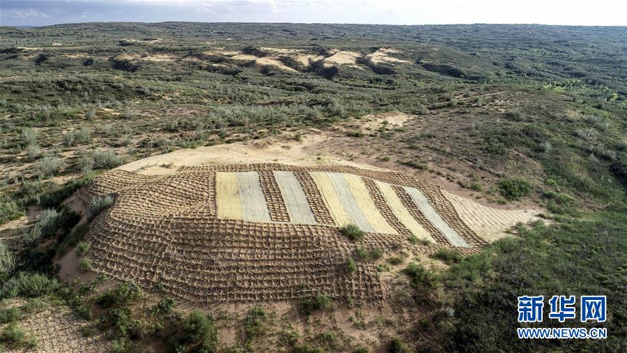 （在習近平新時代中國特色社會主義思想指引下&mdash;&mdash;新時代新作為新篇章&middot;總書記關切高質量發(fā)展&middot;圖文互動）（1）從一粒沙看不斷擴大的中國綠色版圖