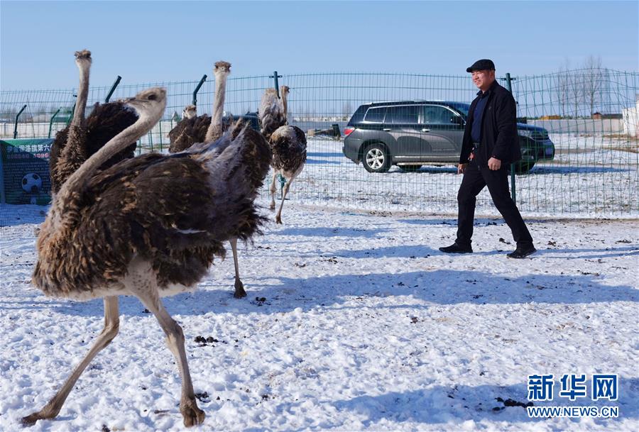 (新春走基層·圖文互動)(3)“貨郎干部”扶貧記